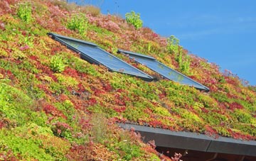 Crawley Hill living roof systems